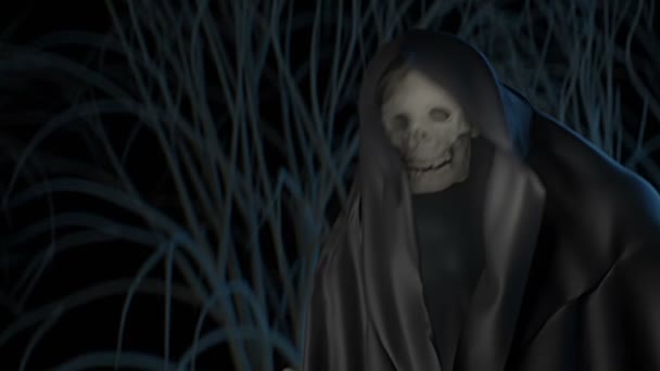 Grim Reaper Pointing Paranormal Concept — Stockvideo