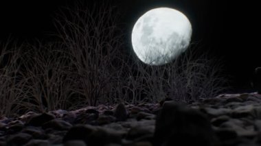 Geceleri ürkünç ay.