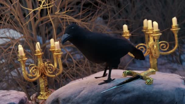 Raven Dagger Occult Concept — Stok Video