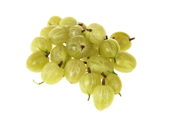 Mazzo di uva spina — Foto Stock