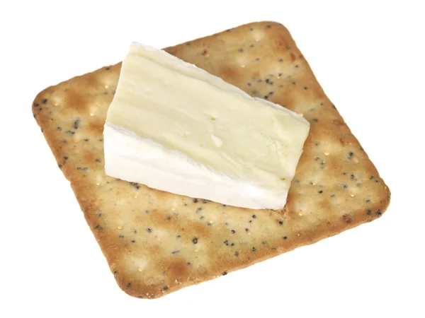 Brie egy cracker — Stock Fotó