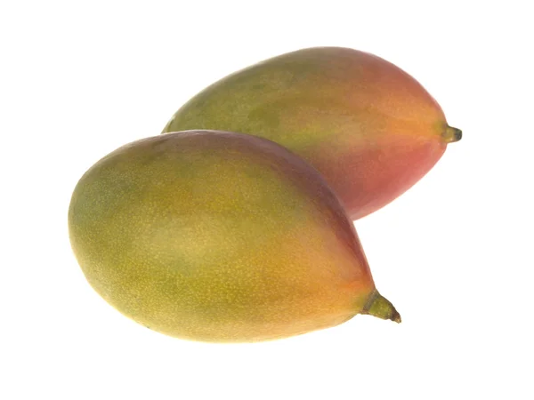 Fresh Mangoes — Stock Photo, Image