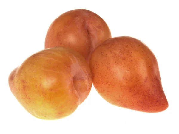 Gelbe Fruchtpflaumen — Stockfoto