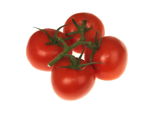 Pomodori coltivati a vite — Foto Stock