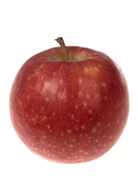 Pembe bayan elma — Stok fotoğraf