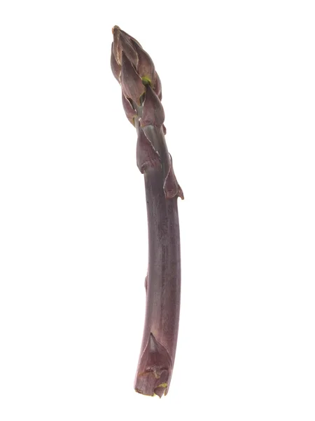 Sparanghel violet — Fotografie, imagine de stoc