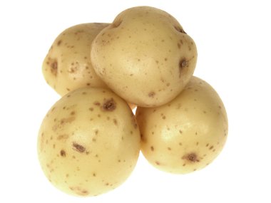 yeni patates