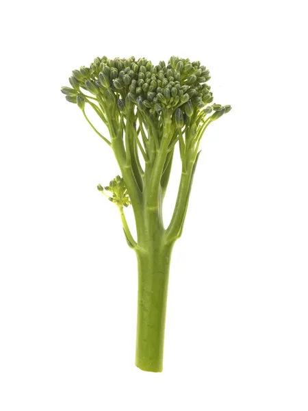 Tenderstem brokoli — Stok fotoğraf