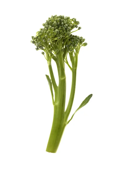 Tenderstem broccoli met fijne groene boontjes — Stockfoto