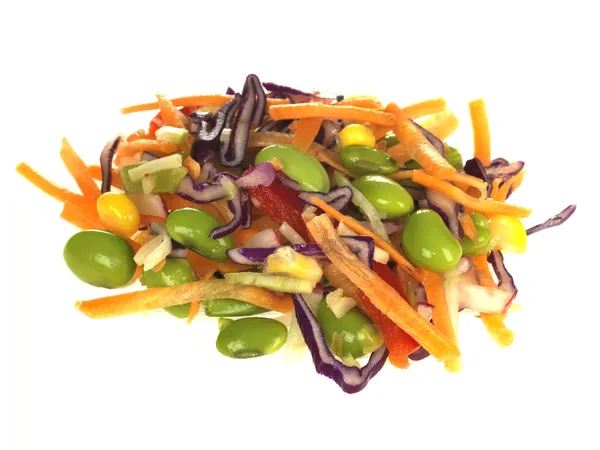 Salada Oriental — Fotografia de Stock