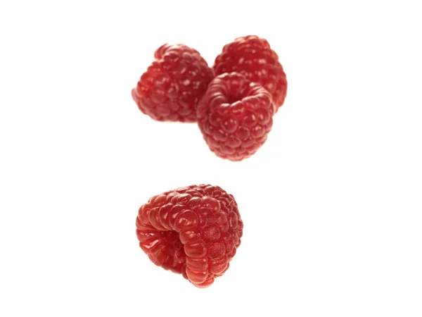 Himbeeren — Stockfoto