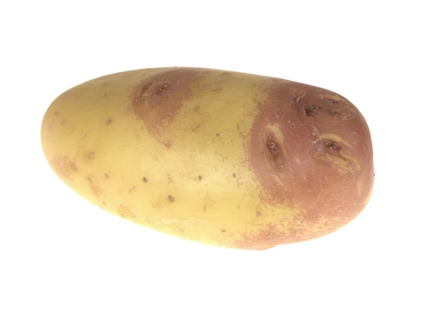 King Edward Potato — Stock Photo, Image