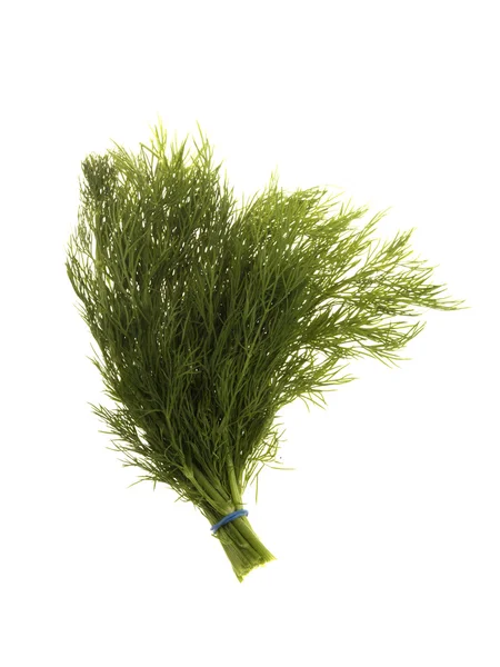 Bunch of Fresh Dill — Stock Photo, Image