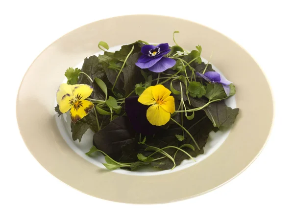 食用花卉沙拉 — 图库照片