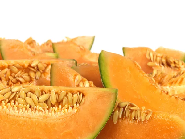 Cantalope Melon — Stock Photo, Image