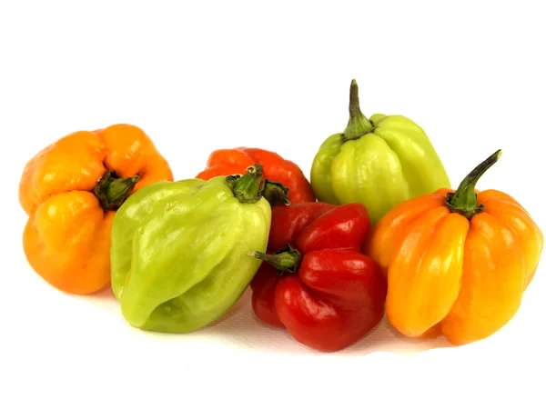 Scotch Bonnet Chillies — Fotografie, imagine de stoc