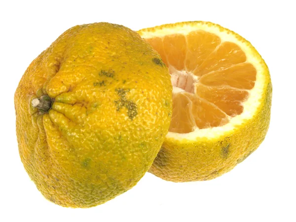 Ugli Fruit — Stock Photo, Image