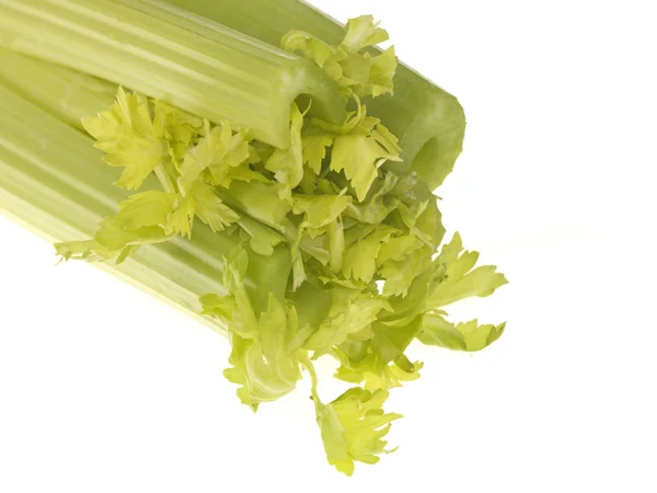 Fresh Celery — Stock Photo, Image