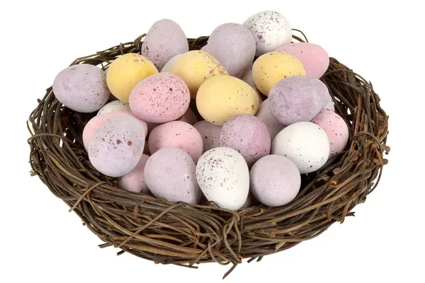 Easter Egg Nest — Stock Photo, Image