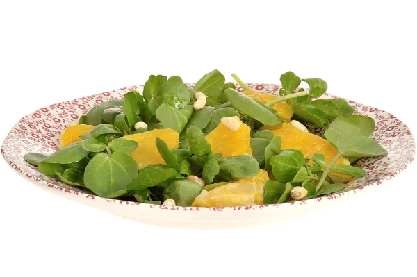 Orange and Watercress Salad — Stock Photo, Image