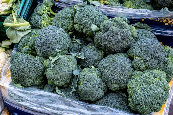 Epsom Surrey London March 2022 Tray Fresh Raw Uncooked Broccoli — стокове фото