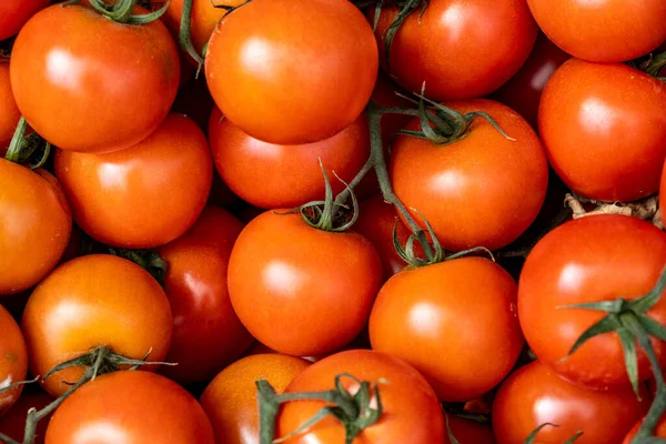 Sterta Lub Stos Jasnoczerwonych Pomidorów Sałatkowych Bez Ludzi — Zdjęcie stockowe