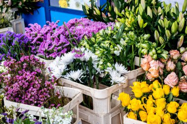 Açık Hava Pazarı 'nda İnsansız Karışık Çiçek Çiçekleri Gösterimi