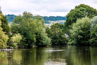 Dorking Surrey Hills UK, Temmuz 06 2022, Meadowbank Park Dorking Country Park ve Lake
