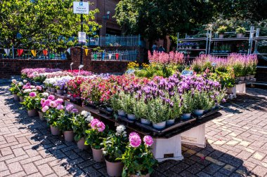 Dorking Surrey Hills UK, July 08 2022, Open Air Market Flower Stall Seller