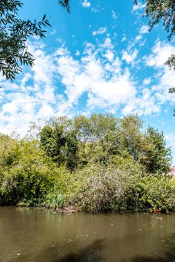 Dorking Surrey Hills London UK, 24 Temmuz 2022, Meadowbank Park Dorking Lanscape Ağaçların ve Doğanın Su Yansıması ve İnsansız