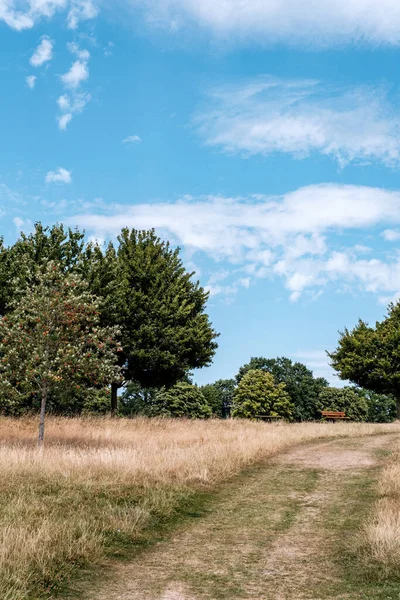 Dorking Surrey Hills London UK, July 24 2022, Dry Grass And Trees Countryside Heatwave Under Blue Summer Sky