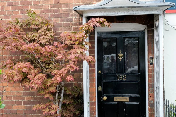 Dorking, Surrey Hills, London UK, June 30 2022, Traditional Wooden Black Front Door With A Japanese Acer Tree