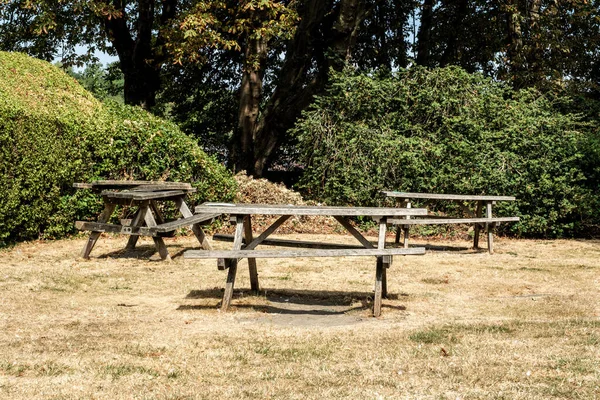 Dorking, Surrey Hills, London UK, August 14 2022, Town Centre Picnic Area Open Space Parched Dry Grass During Summer Heatwave And No People
