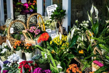 Dorking, Surrey Hills, İngiltere, 15 Ekim 2022, İnsansız Çiçek Dükkanı 'nın Dışında Renkli Çiçek Gösterimi