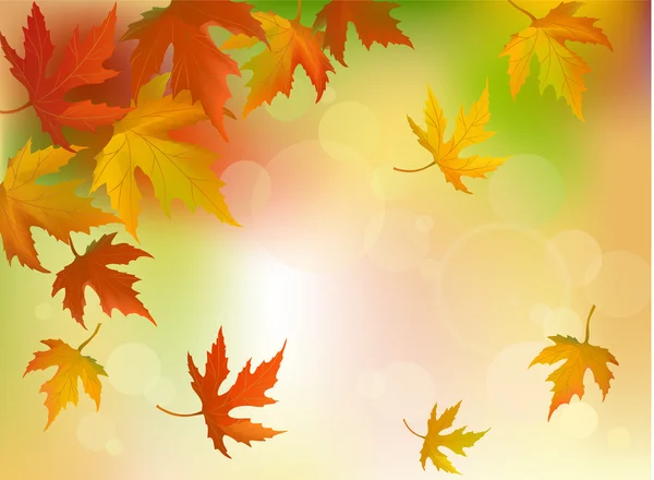 Abstract autumn background — Stock Vector