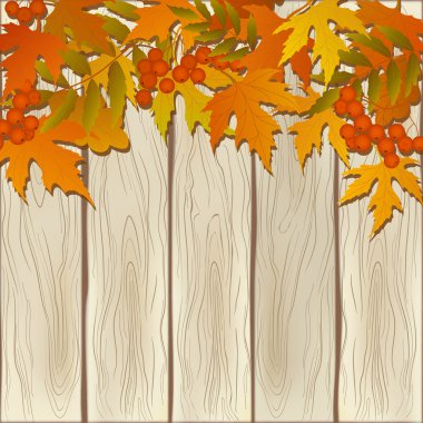 Dekoratif kartı ile rowanberry Şubesi