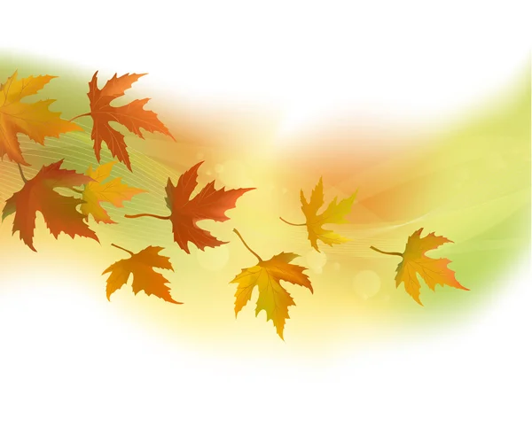 Hojas de otoño, fondo — Vector de stock