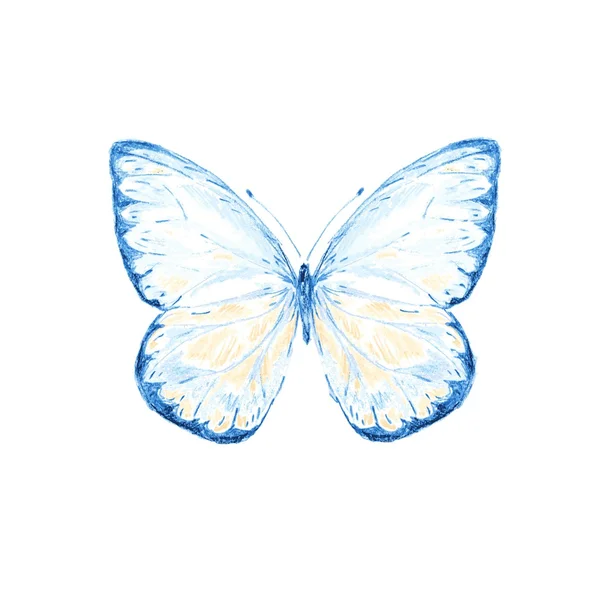 Dibujo a lápiz de la mariposa — Vector de stock