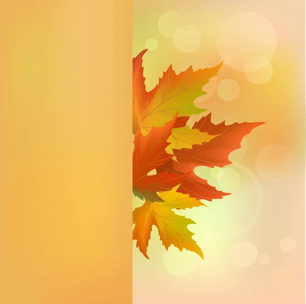 Abstract autumn background — Stock Vector