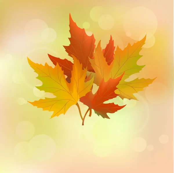 Abstract autumn background — Stock Vector