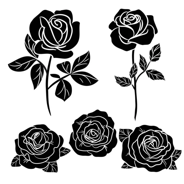 Rosas. — Archivo Imágenes Vectoriales