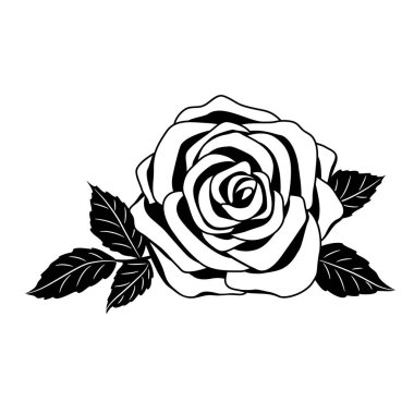 Beyaz üzerine siyah gül silueti