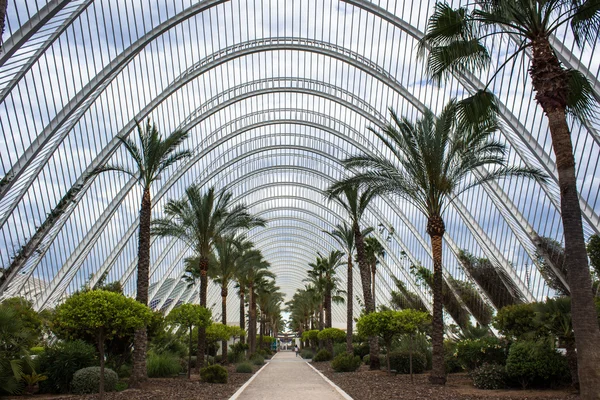 Valencia, kent Bahçe