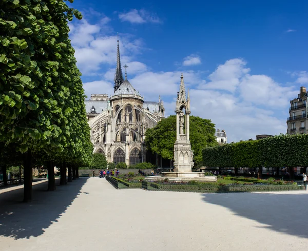 Paříž, pohled notre Dame — Stock fotografie