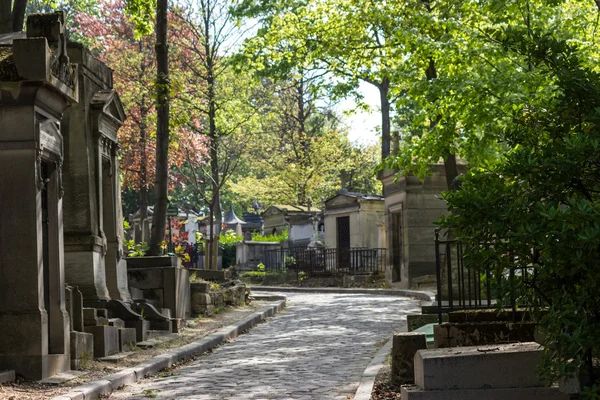 Avenue to the cemetery — Stock Photo, Image