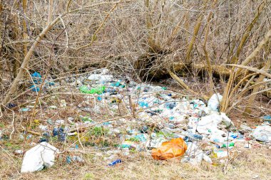 Büyük plastik ve cam şişeler çam ormanlarında ziyan oluyor. İnsan çöpü geri dönüşümlü çöplerle kirletilmiş doğa ortamı. Ekoloji kirliliği felaket tehlikesi.