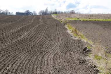 Toprağı sürmüş tarlalar tohum ekme ve ekme işlemi için hazır. Yeni sürülmüş tarlalar. Güneşli kırsal alan.