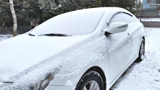 在冬季大雪中 在城市街道上停放的车辆 新的雪落在挡风玻璃上 轿车挡风玻璃 车道停车场 在暴风雪中的汽车 极端气候条件下的汽车 — 图库视频影像