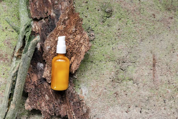 Glass dropper brown bottle with cosmetic oil, cream, essential or serum on bark tree and green moss. Concept of natural organic eco spa cosmetics. Herbal homeopathic products, copy space.