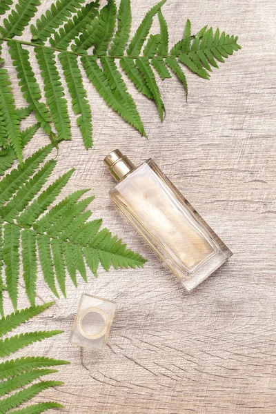 Groene Varen Plant Takken Vrouwelijke Parfum Fles Geur Natuurlijke Eco — Stockfoto